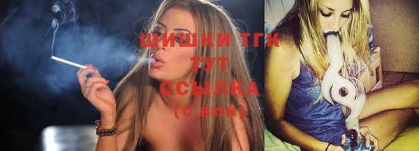 гидропоника Бородино