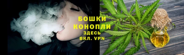 дживик Бронницы