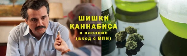 гидропоника Бородино
