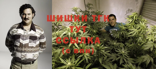 бошки Верхний Тагил