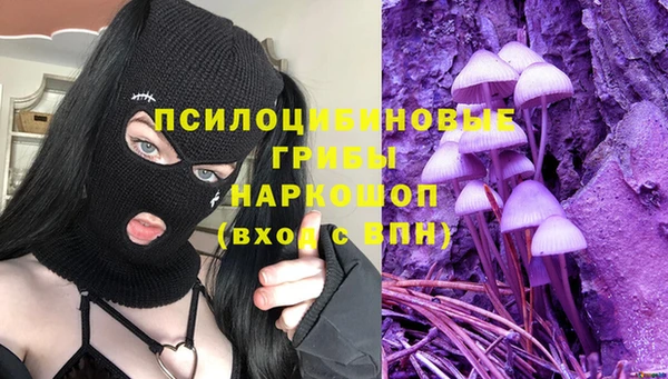 мяу мяу мука Бугульма